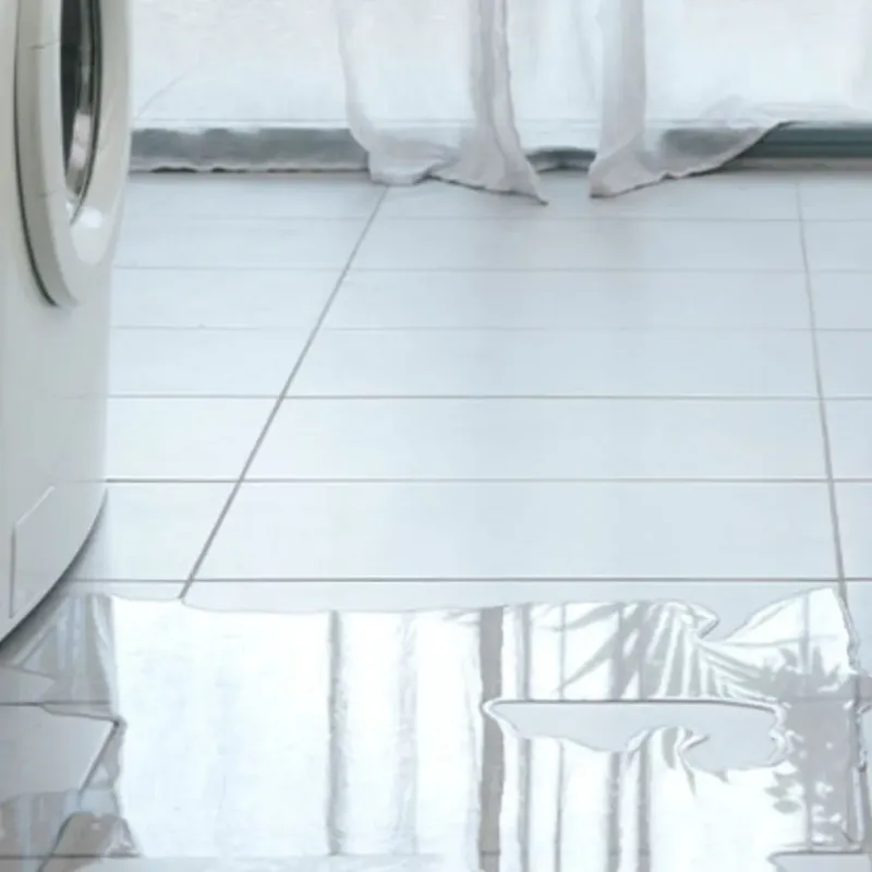 Appliance Leak Cleanup in Jamestown, TN