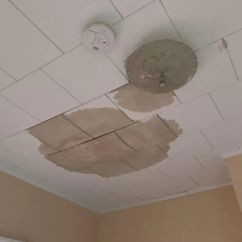 Ceiling Water Damage Repair in Jamestown, TN
