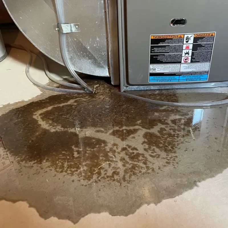 Pipe Burst and Leak Restoration in Jamestown, TN