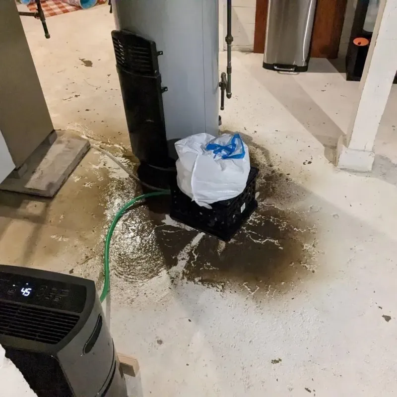 Sewage Backup Cleanup Service in Jamestown, TN
